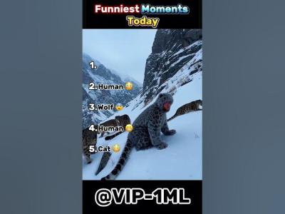 Best Moments of Today 