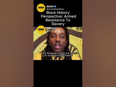 Black History Perspective Armed Resistance To Slavery blackhistory america shorts history