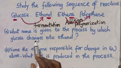 CHEMISTRY  Fermentation and Addition Polymerisation Exam Questions