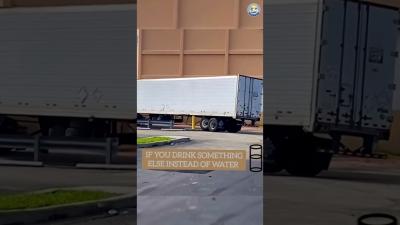 Dont drink and drive. thief try to steal a truck. if V12 engine is more powerful than expectations