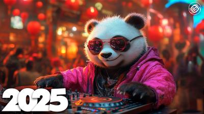 Music Mix 2025 EDM Mashup Mix 2025 EDM Remixes of Popular Songs