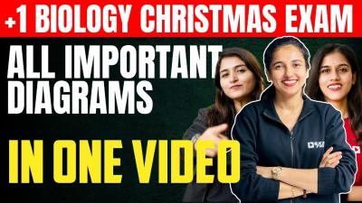 Plus One Biology Christmas Exam  All Important Diagrams in One Video  Exam Winner