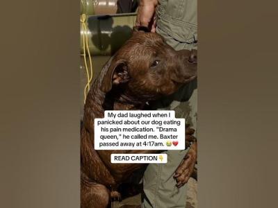 READ CAPTION 