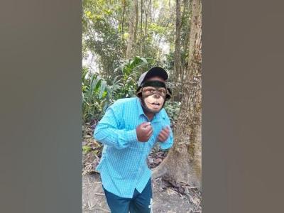 Survival skills SMART idea and USEFUL in forest camping survival bushcraftoutdoors