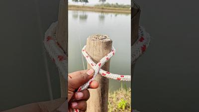 This Knot Is Genius. shorts knotskill knotting shortsfeed