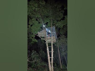 camping hujan dihutan bermalam di rumah pohon tinggi relaxing rain sound