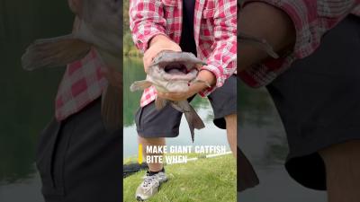 Fishing For Catfish  TODAY Is A Trophy Day shorts fishing