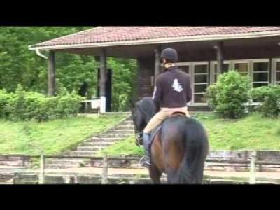 Fouganza Snaffle Bridle Essen