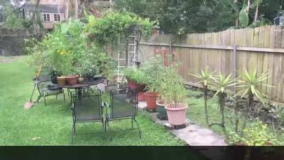 Gardening Tips