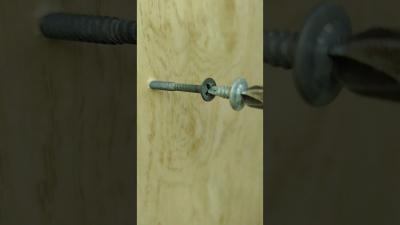 Genius Hack Turn a Screw Even Without a Point shorts