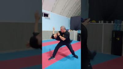 Martial arts self defense techniques88 kungfu martialarts selfdefense foryou shorts