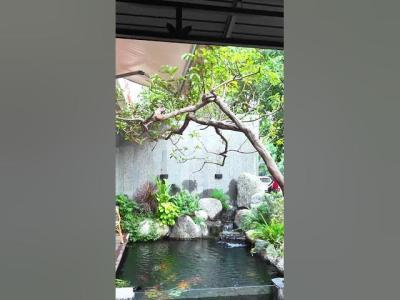 Nếu có 20m² sân vườn bạn sẽ thiết kế theo phong cách nào koji hocakoi sanvuon cakoi bonsai