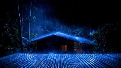 Rain for Study Chill Focus Vibe  Lofi Hip Hop Rain Sounds Ambience ASMR
