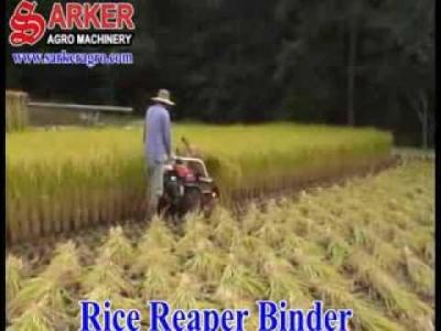 Rice Reaper Binder Machine at Bangladesh