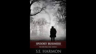 S E Harmon  Spectral Files 3  Spooky Business  Audiobook Billionaires Romance