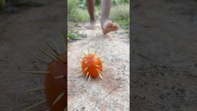 Survival Skills SMART idea and USEFUL with single mom p26 bushcraft camping outdoors