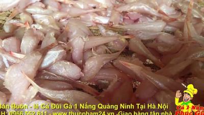 Bán buôn bán lẻ cá đùi gà một nắng