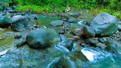 Calming Forest Ambience  River Flowing in Hidden Forest Ambience for Rest Medicine