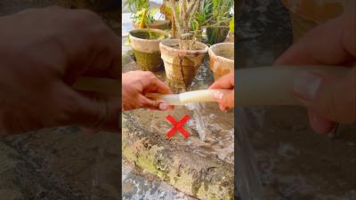 Dont Throw Broken Water Pipe Easy Fix in 1 Minute hometips diy idea viralvideo trendingshorts