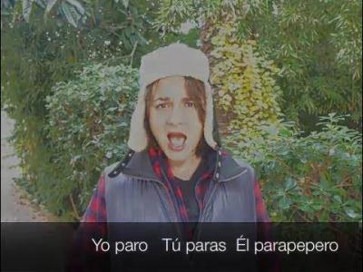 EL PARAPEPERO