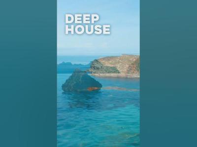 Elevate your vibe and dive into this curated Deep House selection deephouse house mix