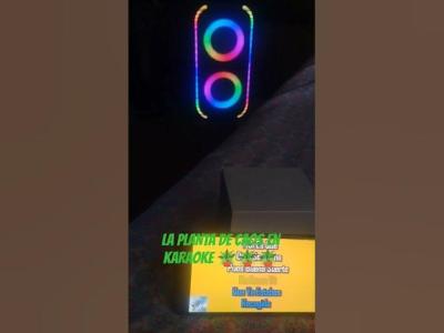 LA PLANTA DE CAOS EN KARAOKE  rock mexico baile fiesta peda mexico latino mota baile
