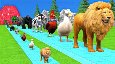 Long Slide Game With Cow Elephant Gorilla Hippopotamus Tiger 3d Animal Game Funny 3d Animals