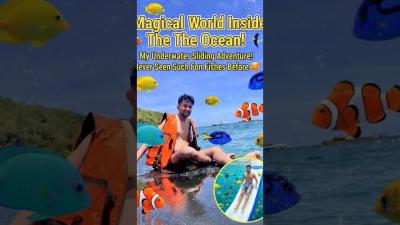 Magical World Inside The Ocean My Underwater Sliding Adventure sea shorts