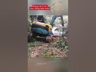 Mang xe ô tô vào rừng test luôn