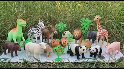  Mud Friends Episode Washing Many Wild Animals  Learning Names Kids Video