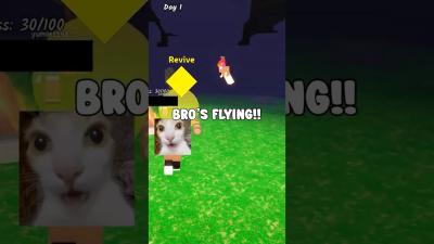 my TEAM is HACKING roblox