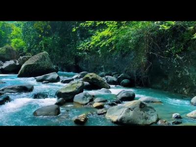 Peaceful Stream Sound. Gentle Water Flow Nature Ambience. White Noise for Sleep and Studying