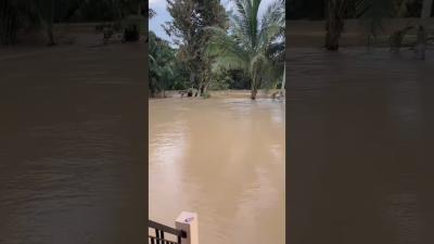 Quiet Morning Village Flood ASMR  Peaceful Rural Flood Ambience