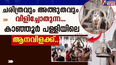 കഞഞർ പളളയല അതഭത ആനവളകക..  SAINT SEBASTIAN  KANJOOR CHURCH TRAVEL VLOG  GOODNESS TV
