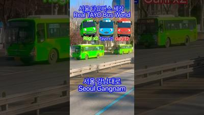 tayobus 타요버스 Rogi 로기 seoultravel