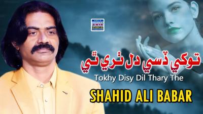 Tokhy Disy Dil Thary The Shahid Ali Babar  Official Music Video Arif Enterprises Official