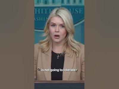 White House Defends FBI Raid on Washington Post Reporter shorts