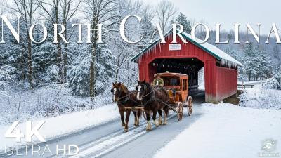 Winter in North Carolina 4K  Blue Ridge Mountains Snowy Woods With Calm Nature Sounds