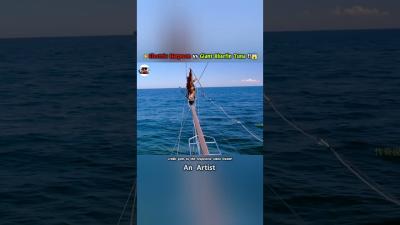 Electric Harpoon vs Giant Bluefin Tuna  shorts