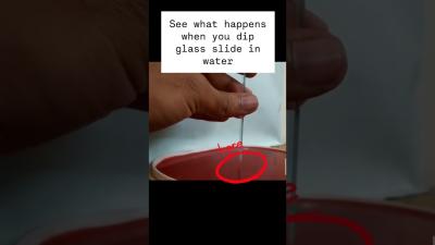 Everyday physics Surface tension bends the water near solids. physics experiment science
