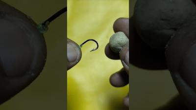 How to Install Fishing Bait shorts fishing