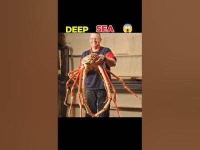 Ocean ki गहरई ..