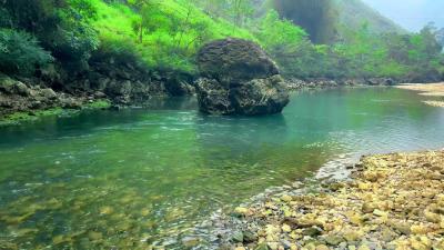 Peaceful Nature Ambience Calming Forest Bird Sounds and Gentle River Flow for Sleep Relaxation