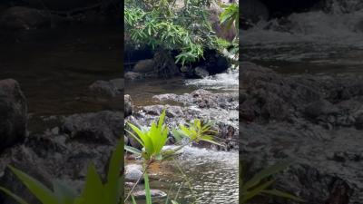 Peaceful Waterfall Soundscape  Calming Nature Audio for Meditation  Relaxation