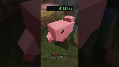 СПИДРАН СЛУЧАЙНОГО МОБА  shorts minecraft mojang speedrun foryoupage