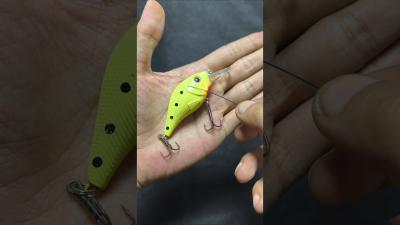 Tie the Minnow with a simple but strong tie tutorial fishing gtknot fishingtips belajarmancing