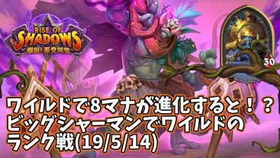 ハースストーンワイルドで8マナが進化するとビッグシャーマンでワイルドのランク戦19514