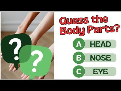 Body parts Quiz for kids  Guess the body parts  preschool learning