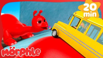 Crazy Dino Petport Rally Race Morphle Dinosaurs Cartoons for Kids  Cartoon Compilation