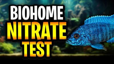 Does Biohome Reduce Nitrates Results Of My 5Month Experiment